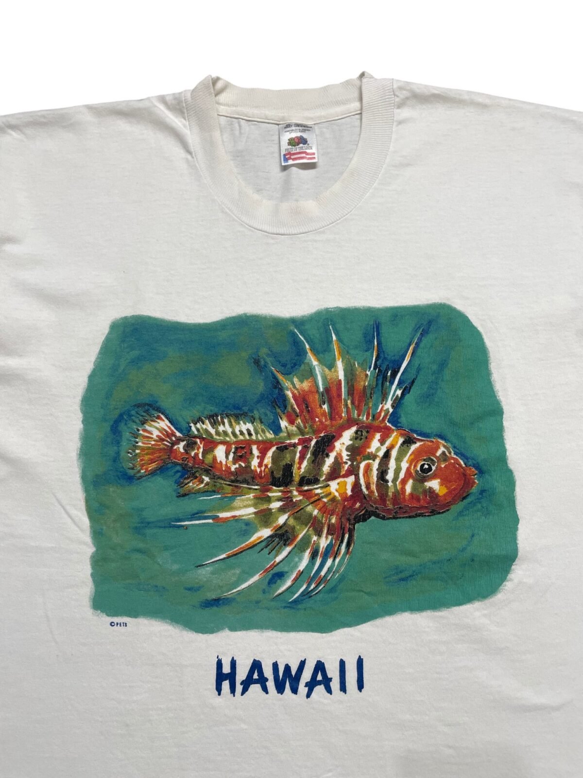 90s Hawaii Lionfish Watercolor Fish Art T-Shirt
