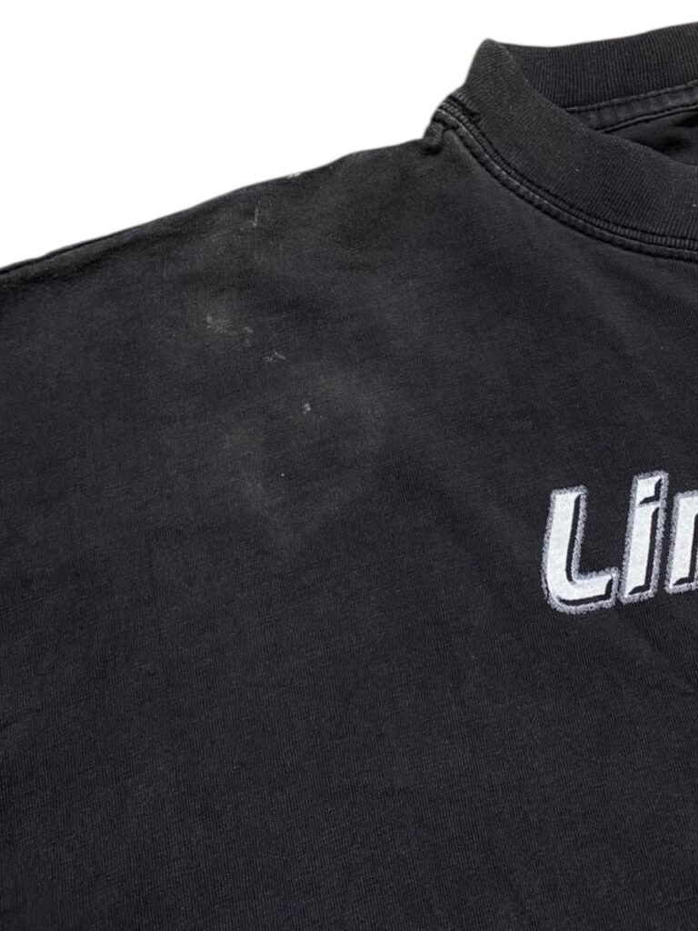 2000 Limp Bizkit - Chocolate Starfish and the Hot Dog Flavored Water T-Shirt