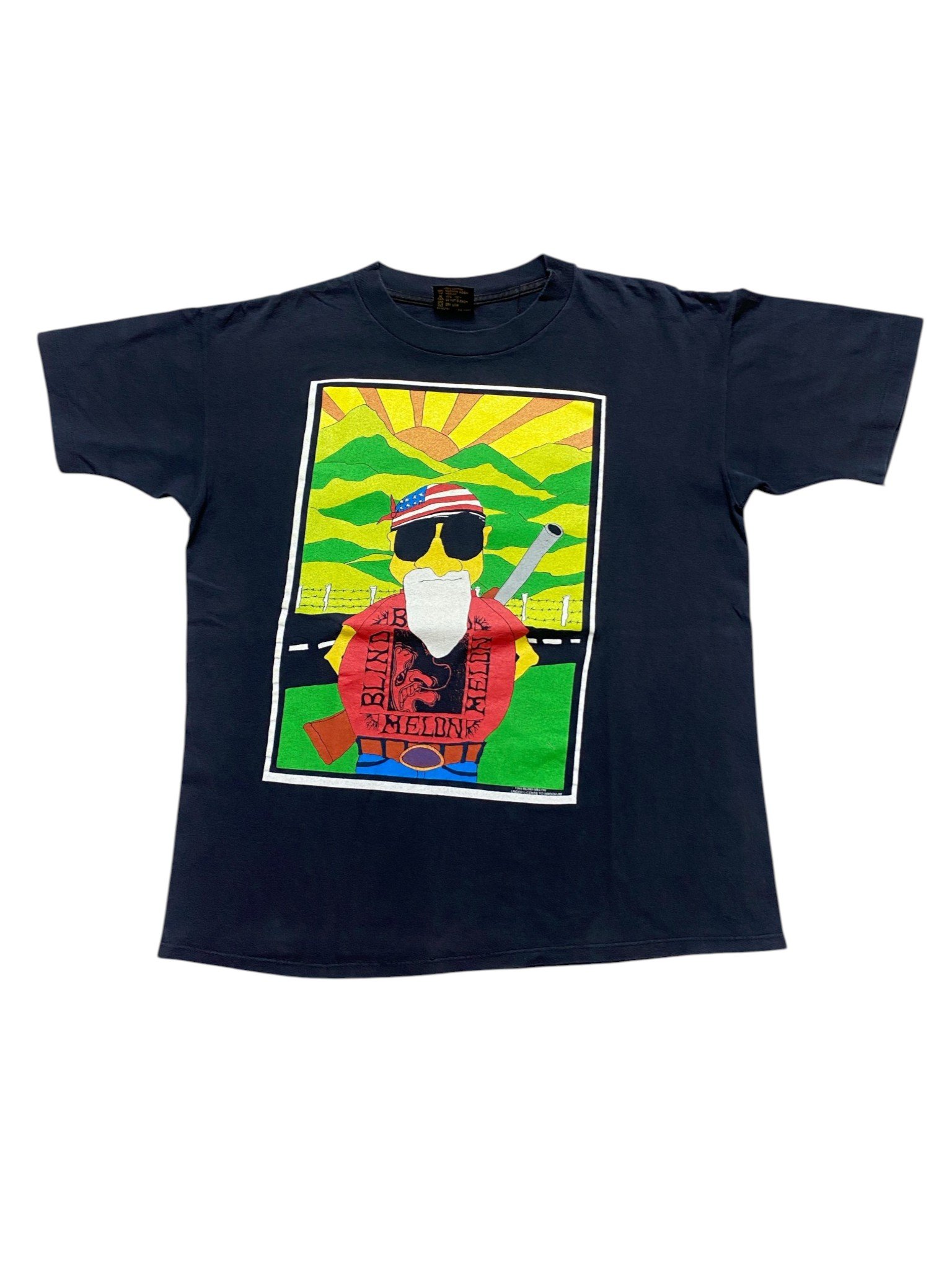 1993 Blind Melon - Tour T-Shirt - Image 1
