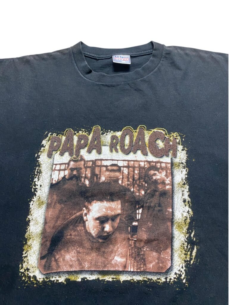 Vintage 2000 Papa Roach - Infest T-Shirt