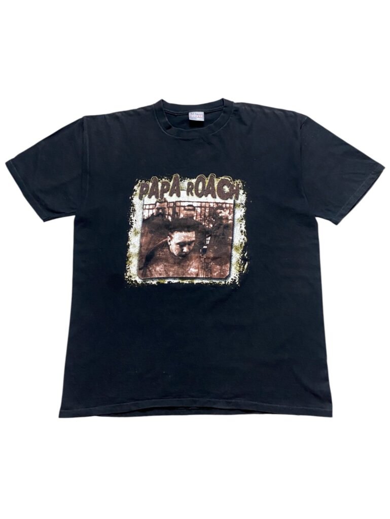 Vintage 2000 Papa Roach - Infest T-Shirt