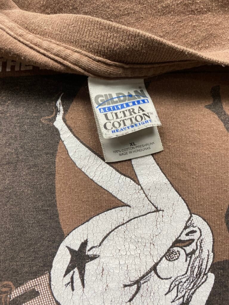 Vintage 2006 The Flaming Lips - Death Sees the Beginning of the Universe T-Shirt